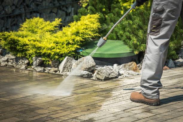 Best Fence Cleaning  in Gulfport, FL
