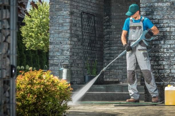 Animal Enclosure Cleaning in Gulfport, FL